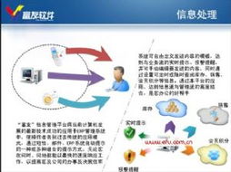 富友软件 赋能服饰企业，铸就信息化与电子商务新标杆